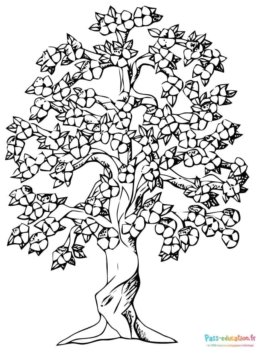 Coloriage Arbre fruitier à imprimer et colorier