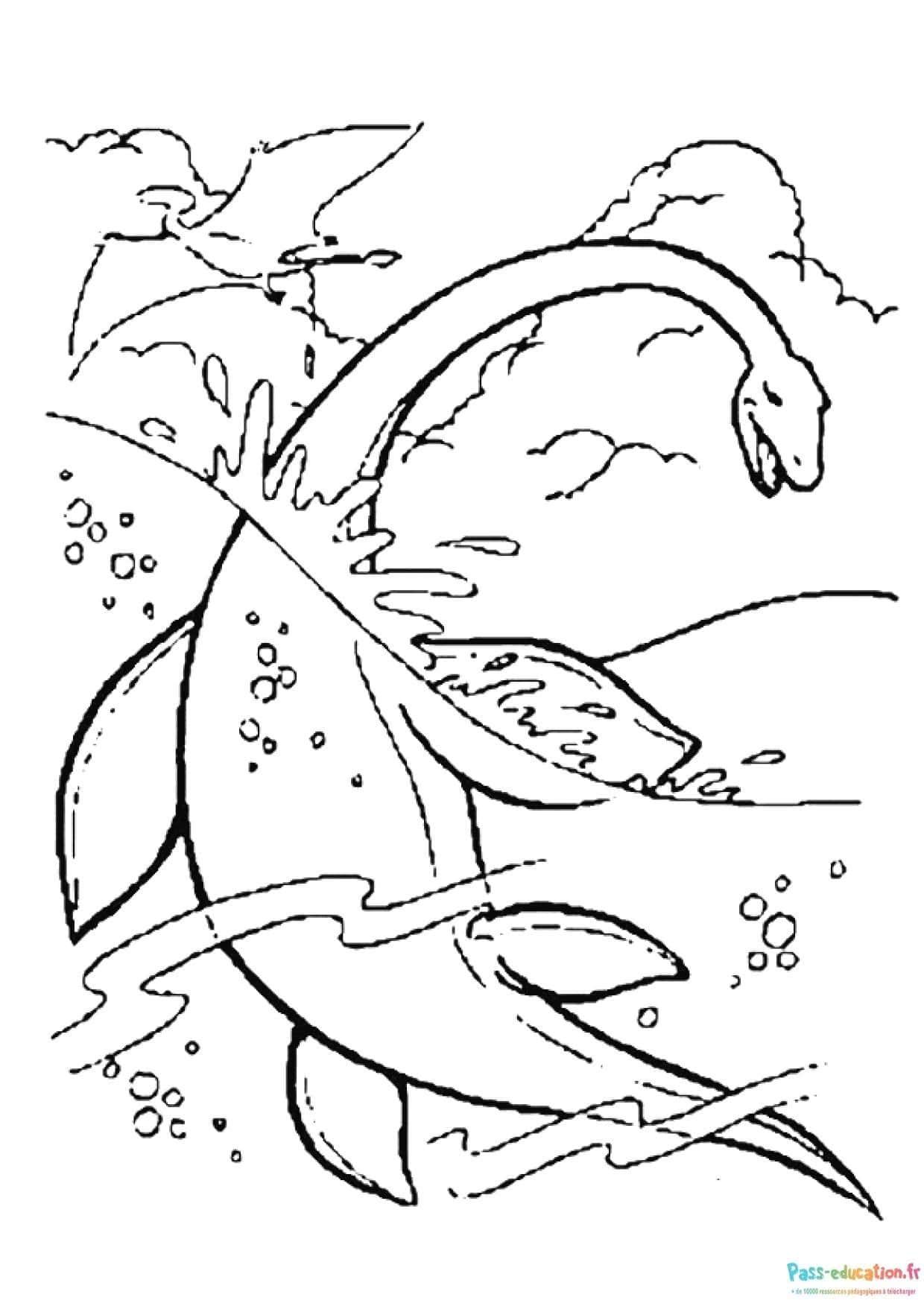 Coloriage Dinosaure dans l'eau à imprimer et colorier