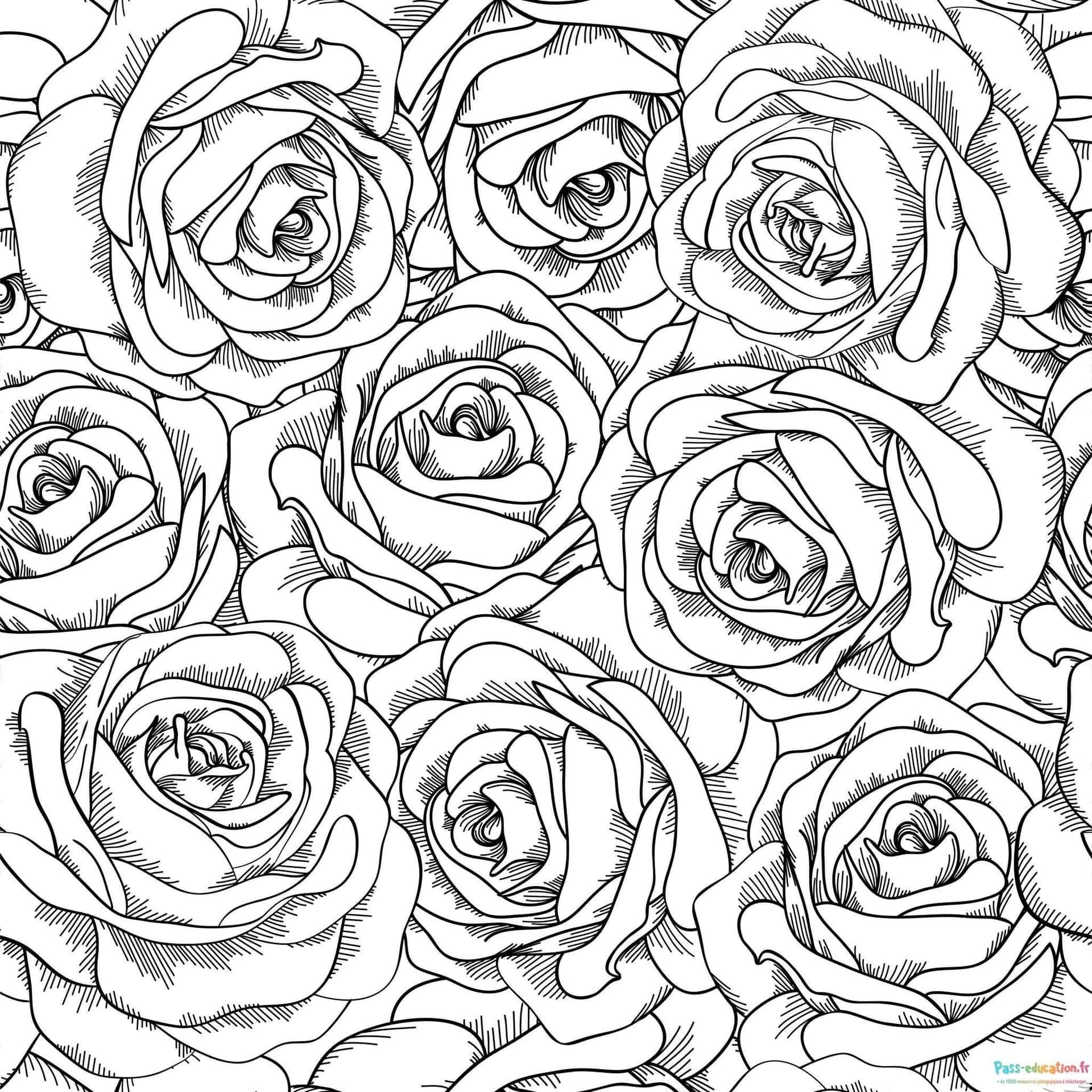 Coloriage Bouquet de roses à imprimer et colorier