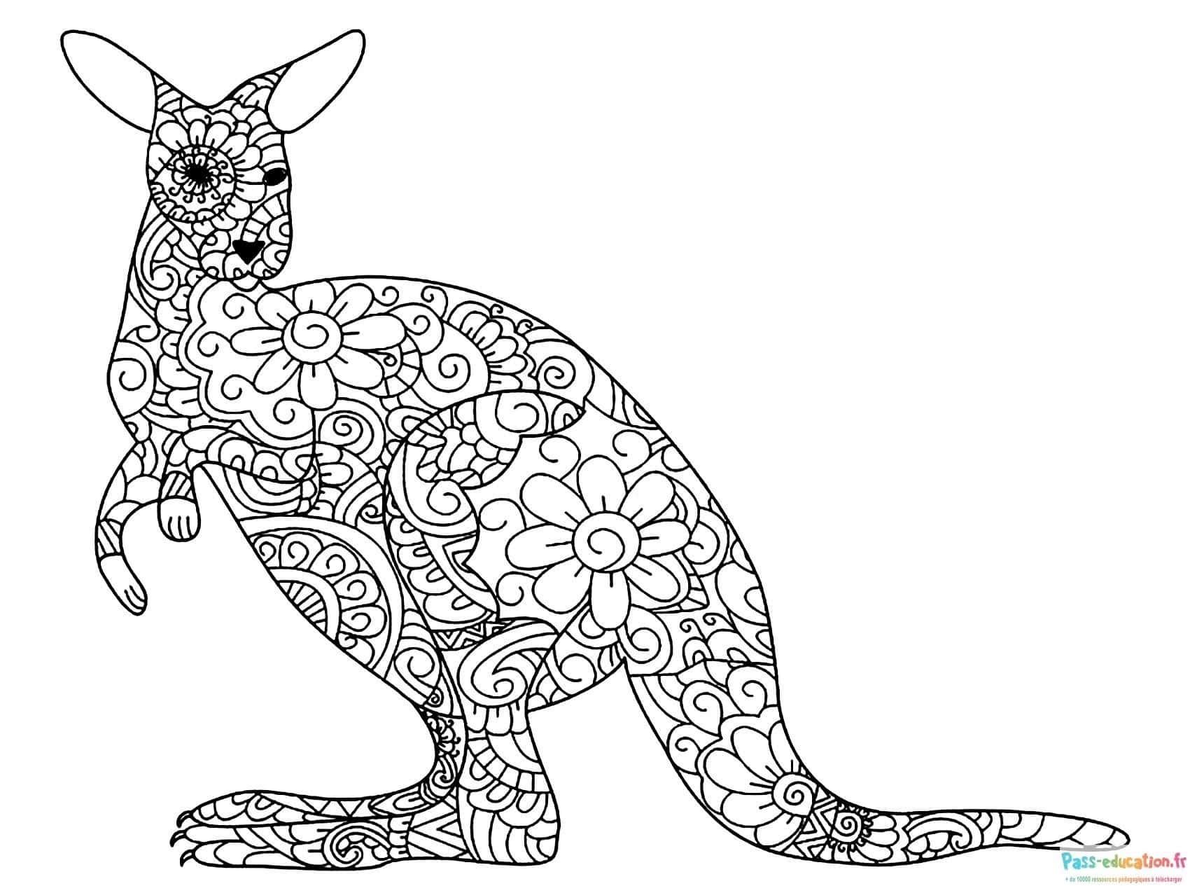 Coloriage Kangourou mandala à imprimer et colorier