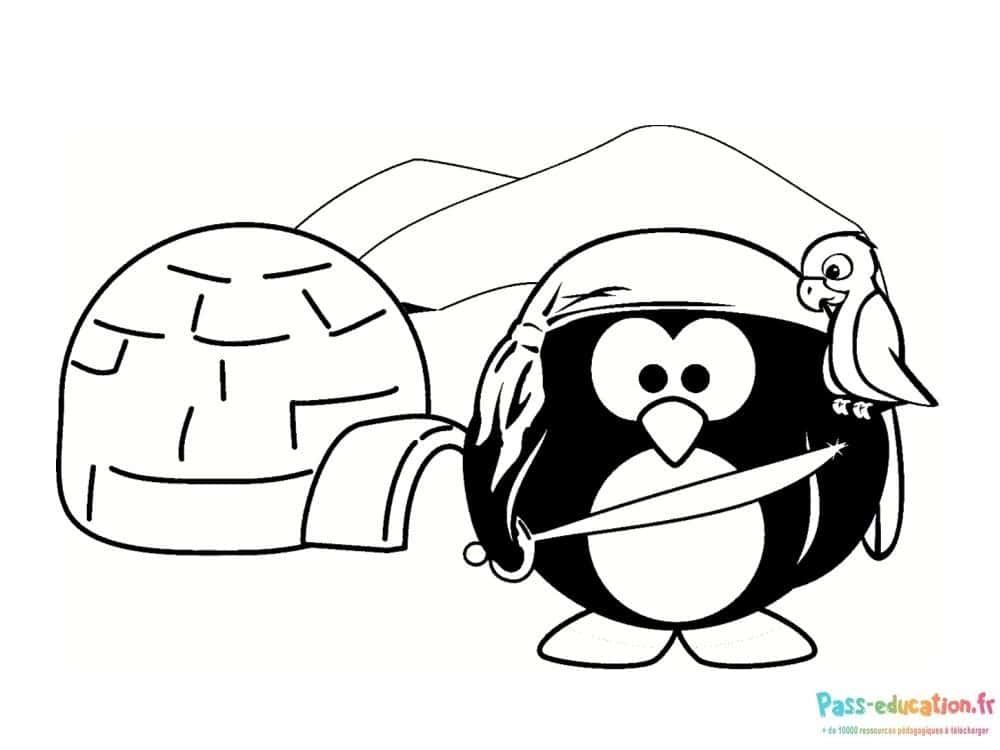 Coloriage Pirate Pingouin à imprimer et colorier
