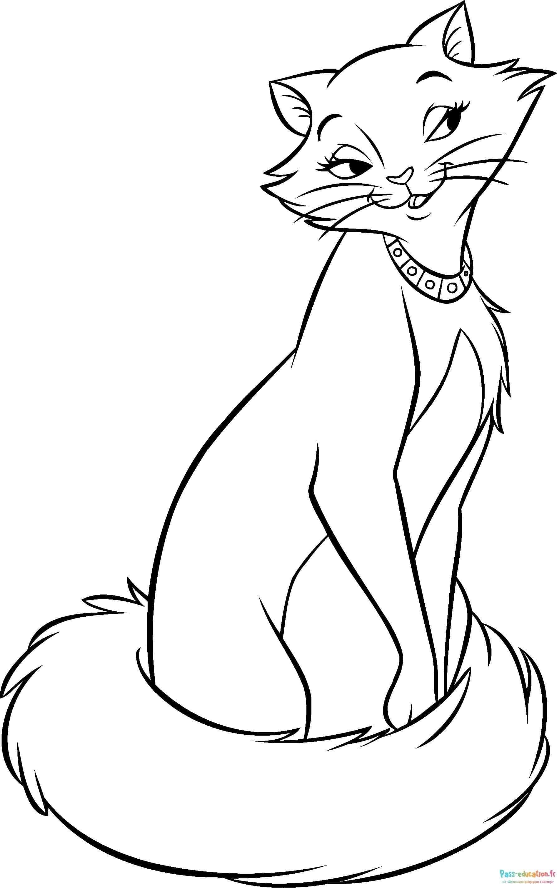Coloriage Chat élégant à imprimer et colorier