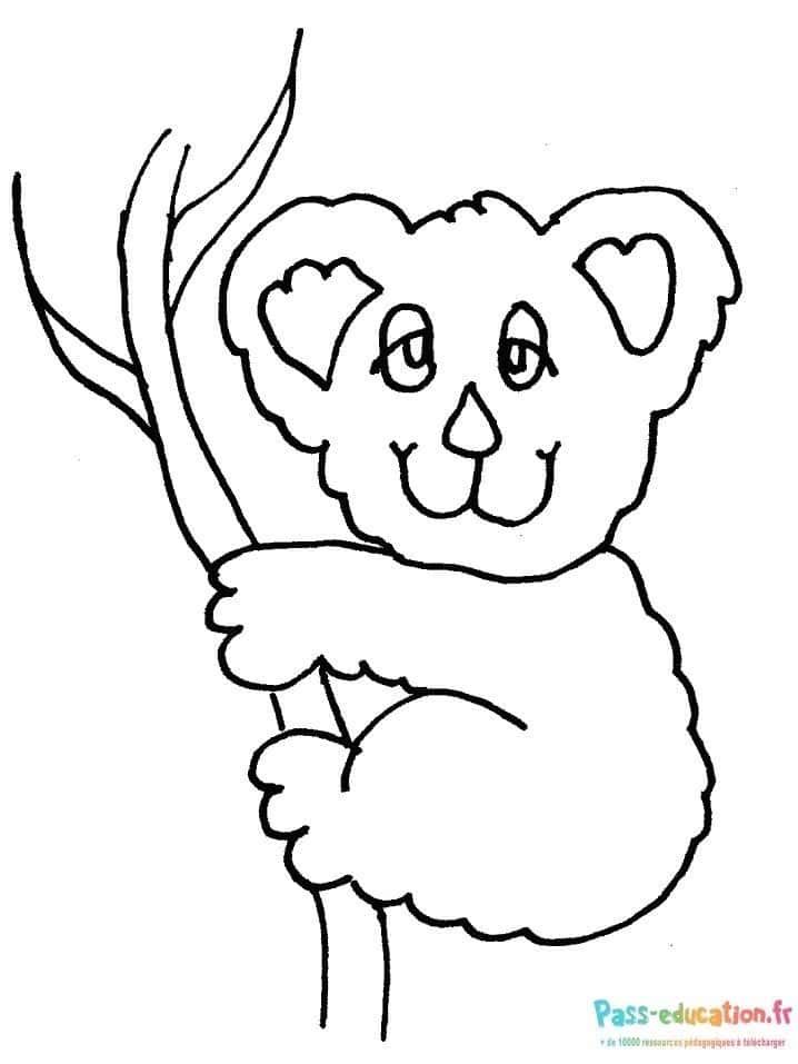 Coloriage Koala joyeux à imprimer et colorier