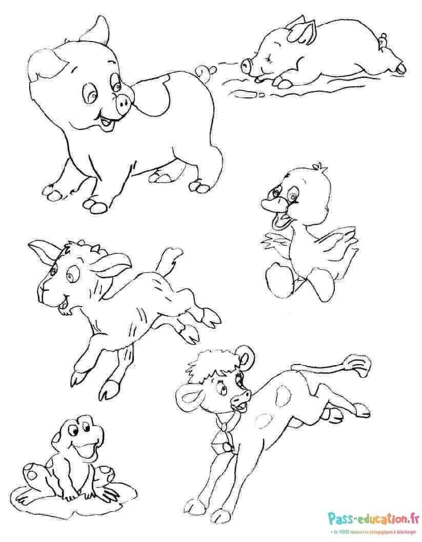 Coloriage Animaux joyeux à imprimer et colorier