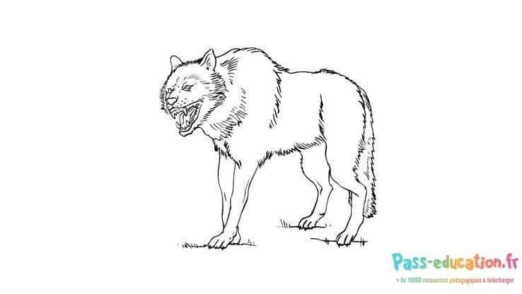 Coloriage Loup agressif à imprimer et colorier