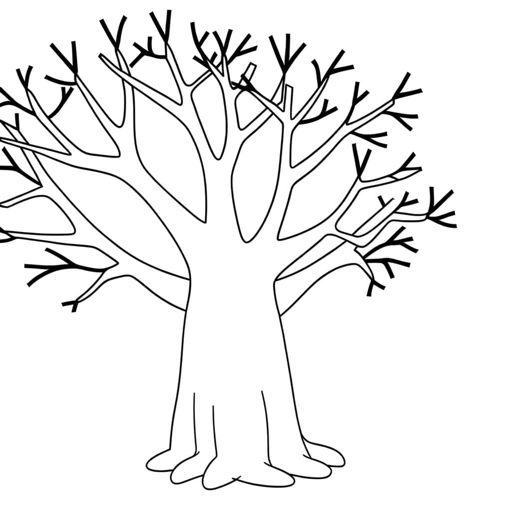 Coloriage Baobab majestueux à imprimer et colorier