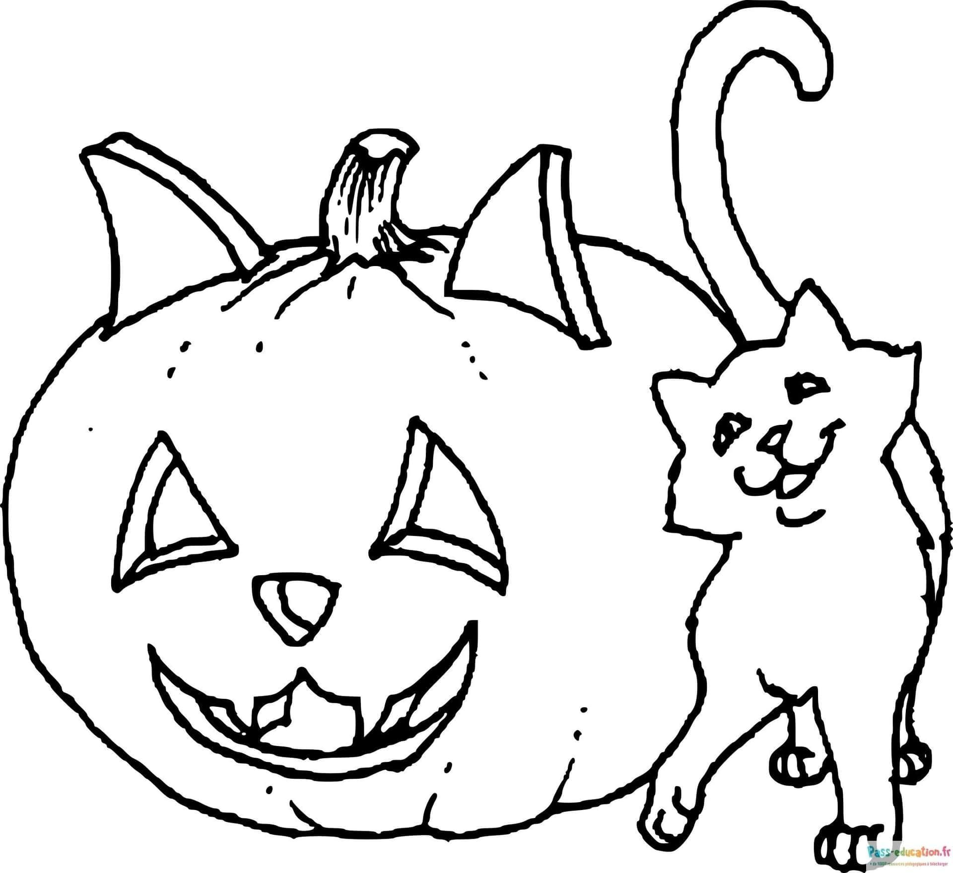 Coloriage Citrouille Chat Halloween à imprimer et colorier