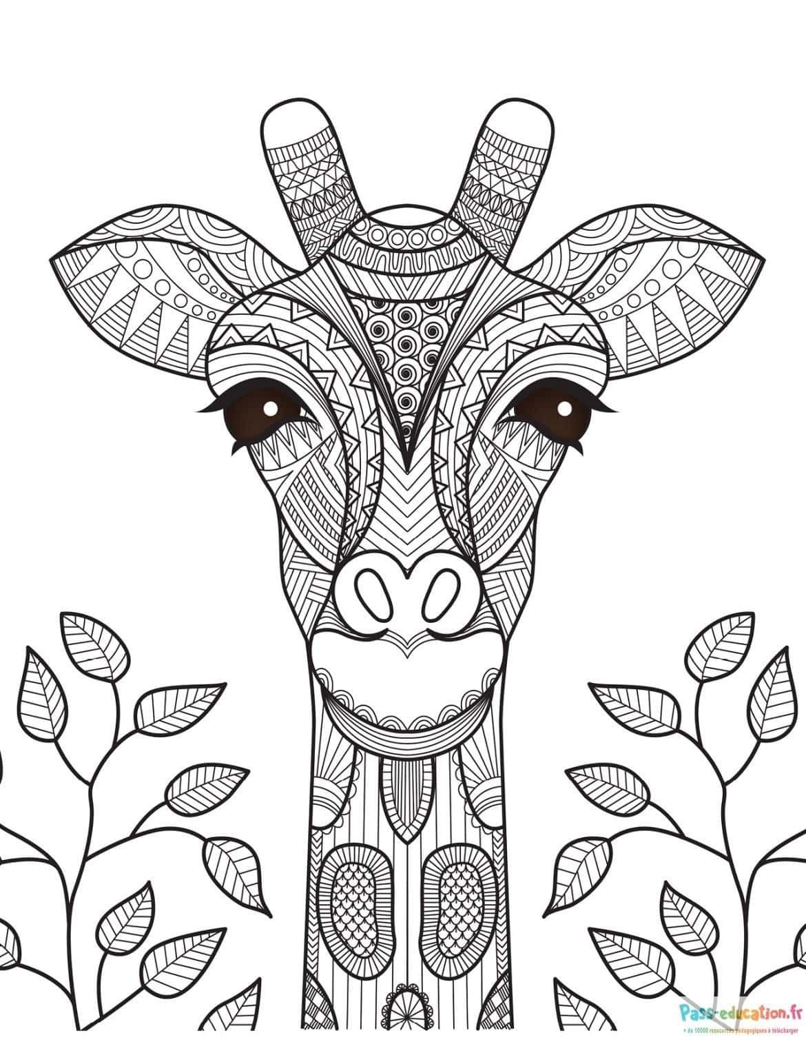 Coloriage Girafe décorative à imprimer et colorier