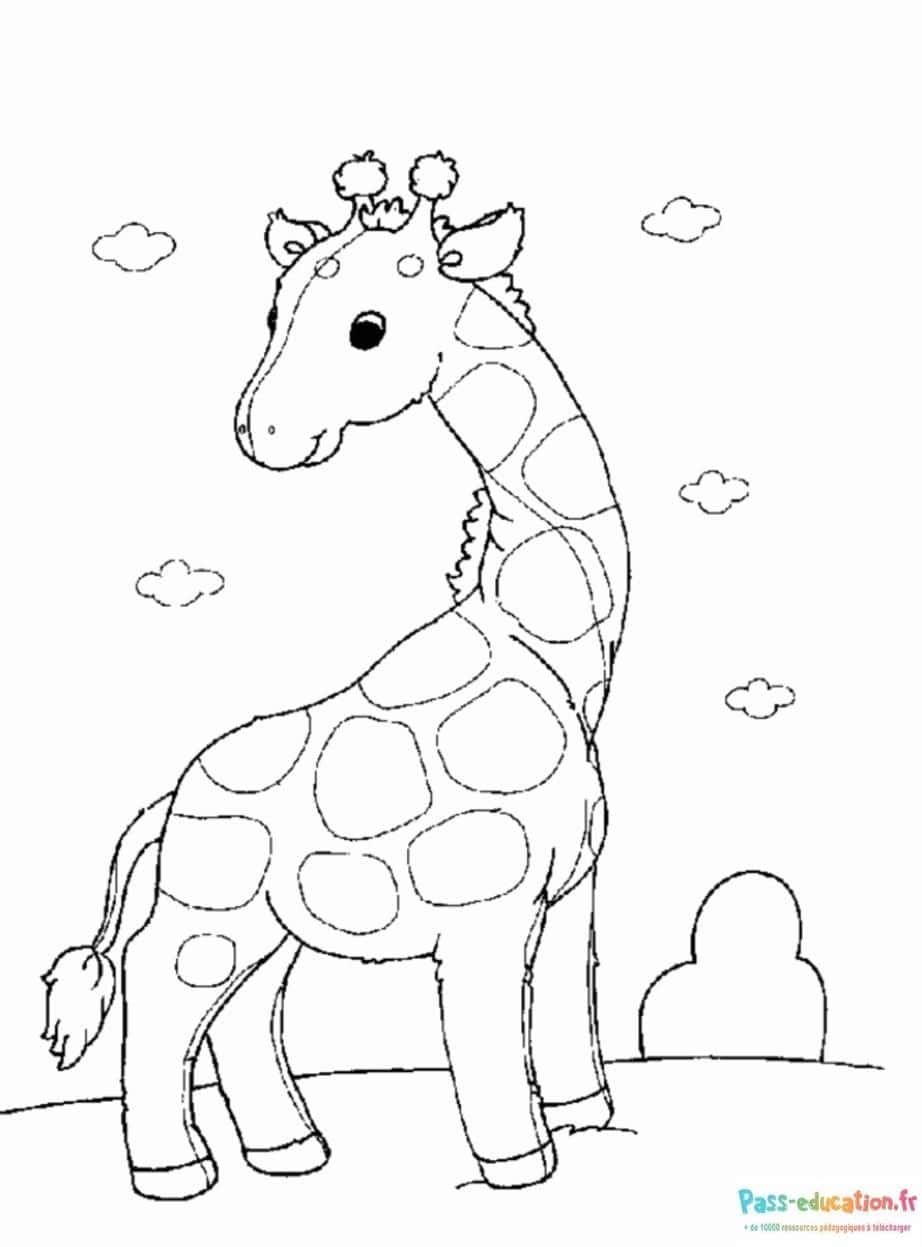 Coloriage Girafe amusante à imprimer et colorier