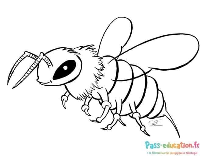 Coloriage Abeille dessin enfant à imprimer et colorier