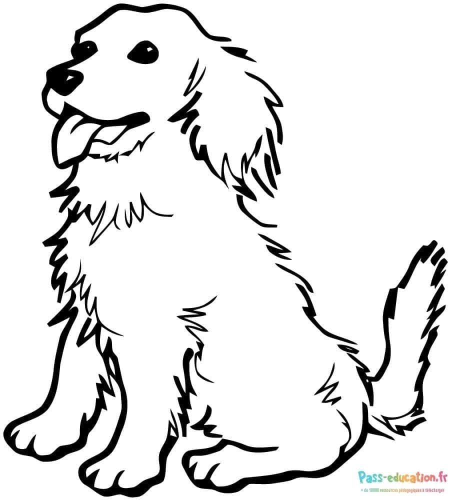 Coloriage Chien joyeux à imprimer et colorier