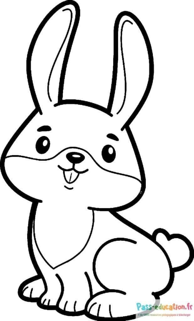 Coloriage Lapin mignon à imprimer et colorier