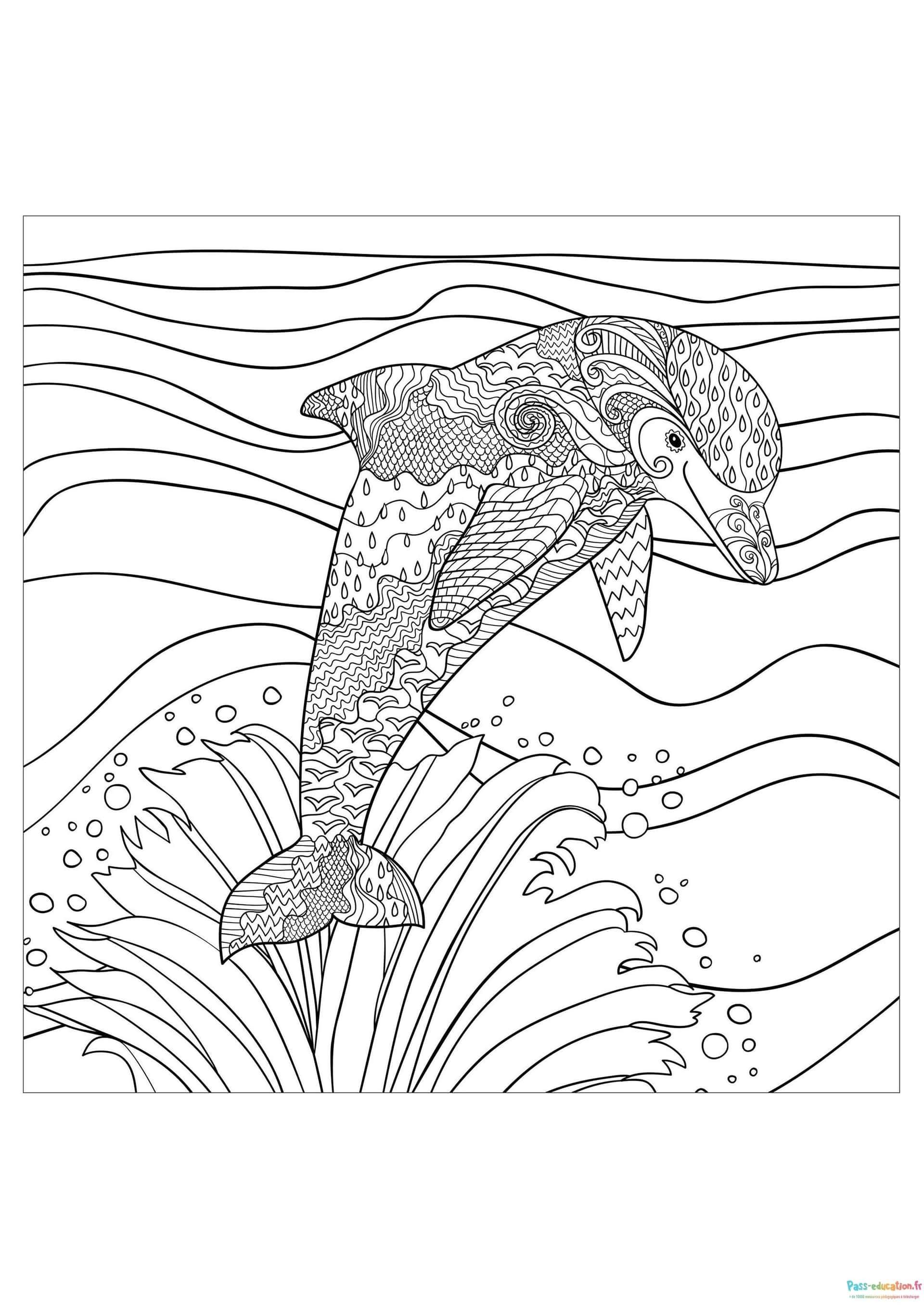 Coloriage Dauphin en Zentangle à imprimer et colorier