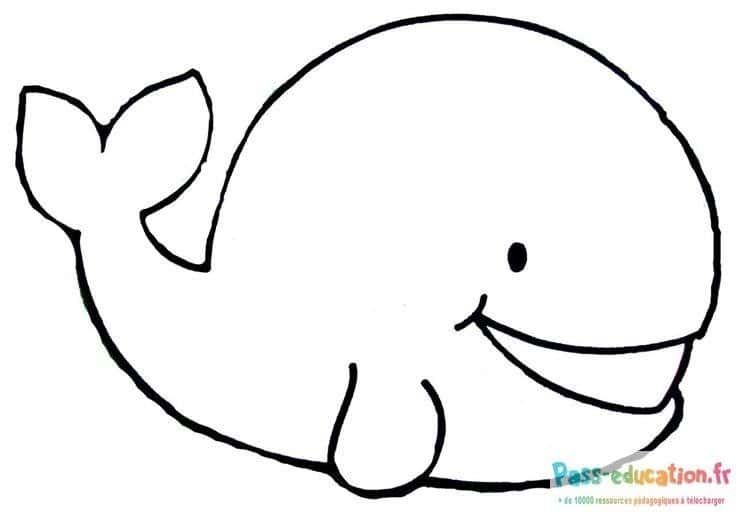 Coloriage Baleine souriante à imprimer et colorier