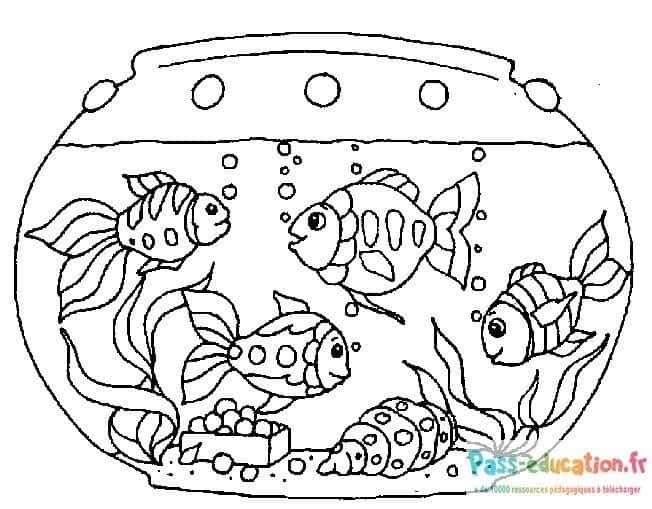 Coloriage Aquarium avec poissons à imprimer et colorier