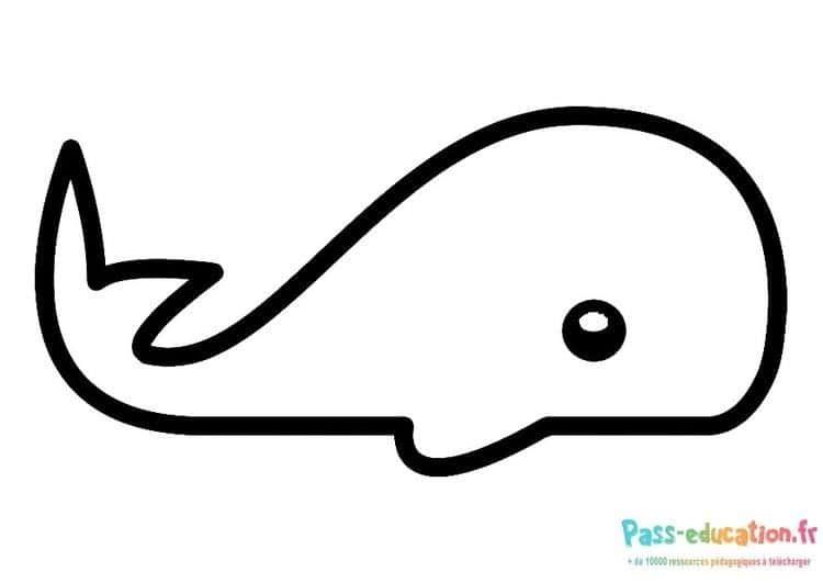 Coloriage Baleine minimaliste à imprimer et colorier