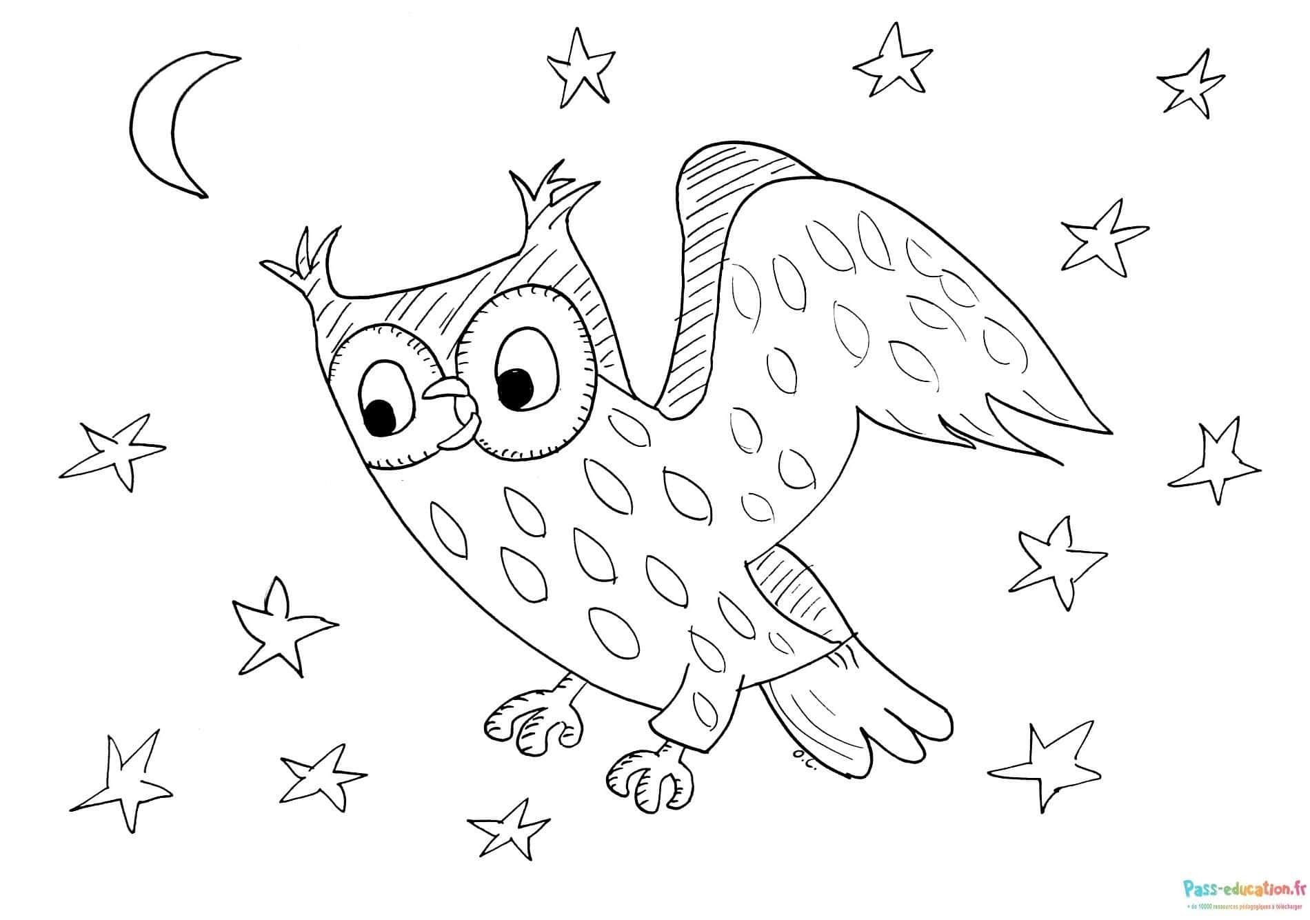 Coloriage Hibou nocturne à imprimer et colorier
