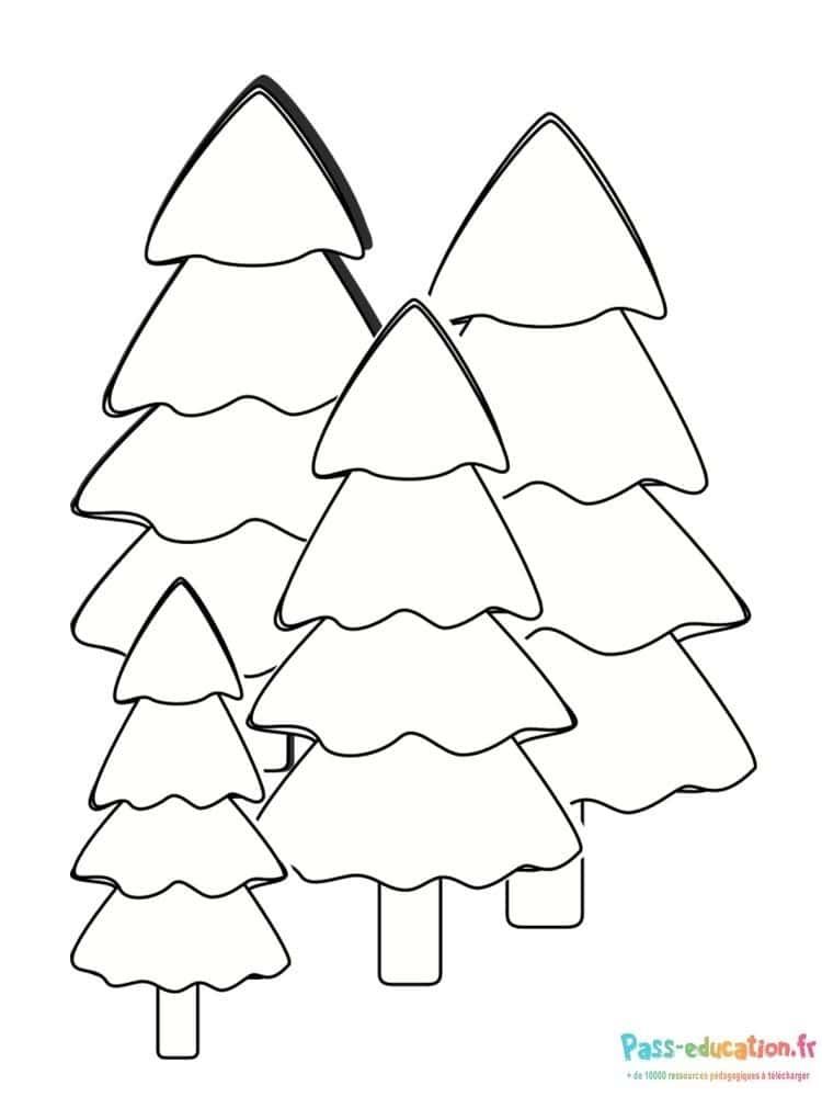 Coloriage Sapins dans la forêt à imprimer et colorier