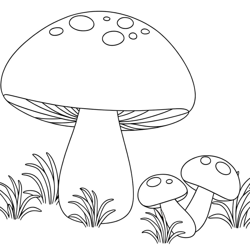 Coloriage Champignons fantaisistes à imprimer et colorier