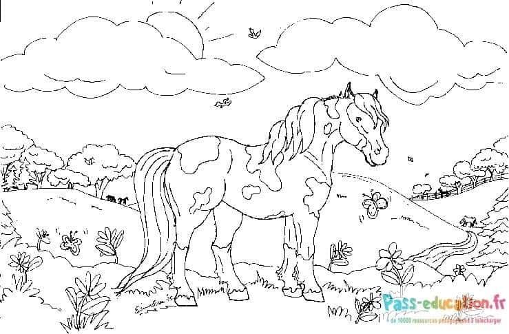 Coloriage Poney dans la prairie à imprimer et colorier