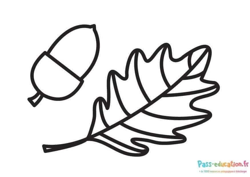 Coloriage Feuilles d'automne à imprimer et colorier