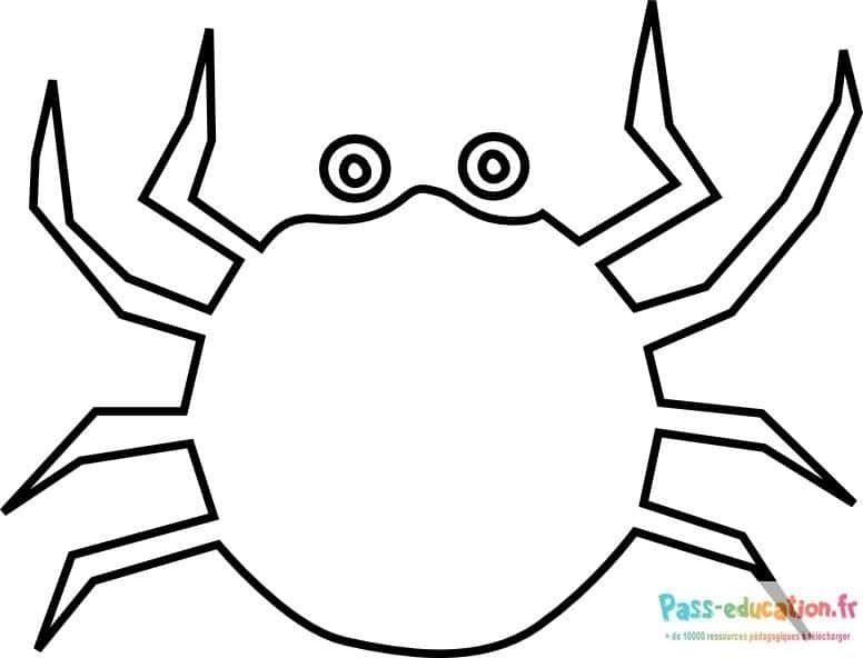 Coloriage Araignée simpliste à imprimer et colorier