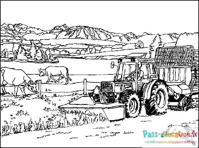 Coloriage Ferme et montagnes à imprimer et colorier