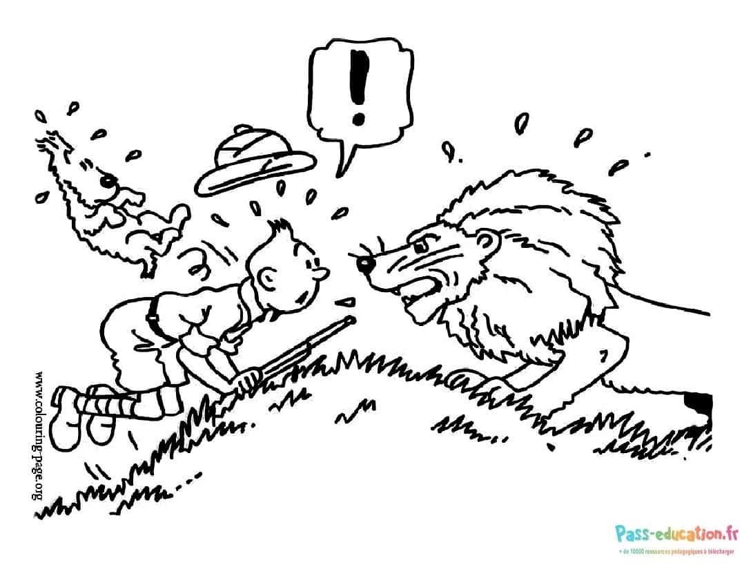 Coloriage Tintin et le lion à imprimer et colorier