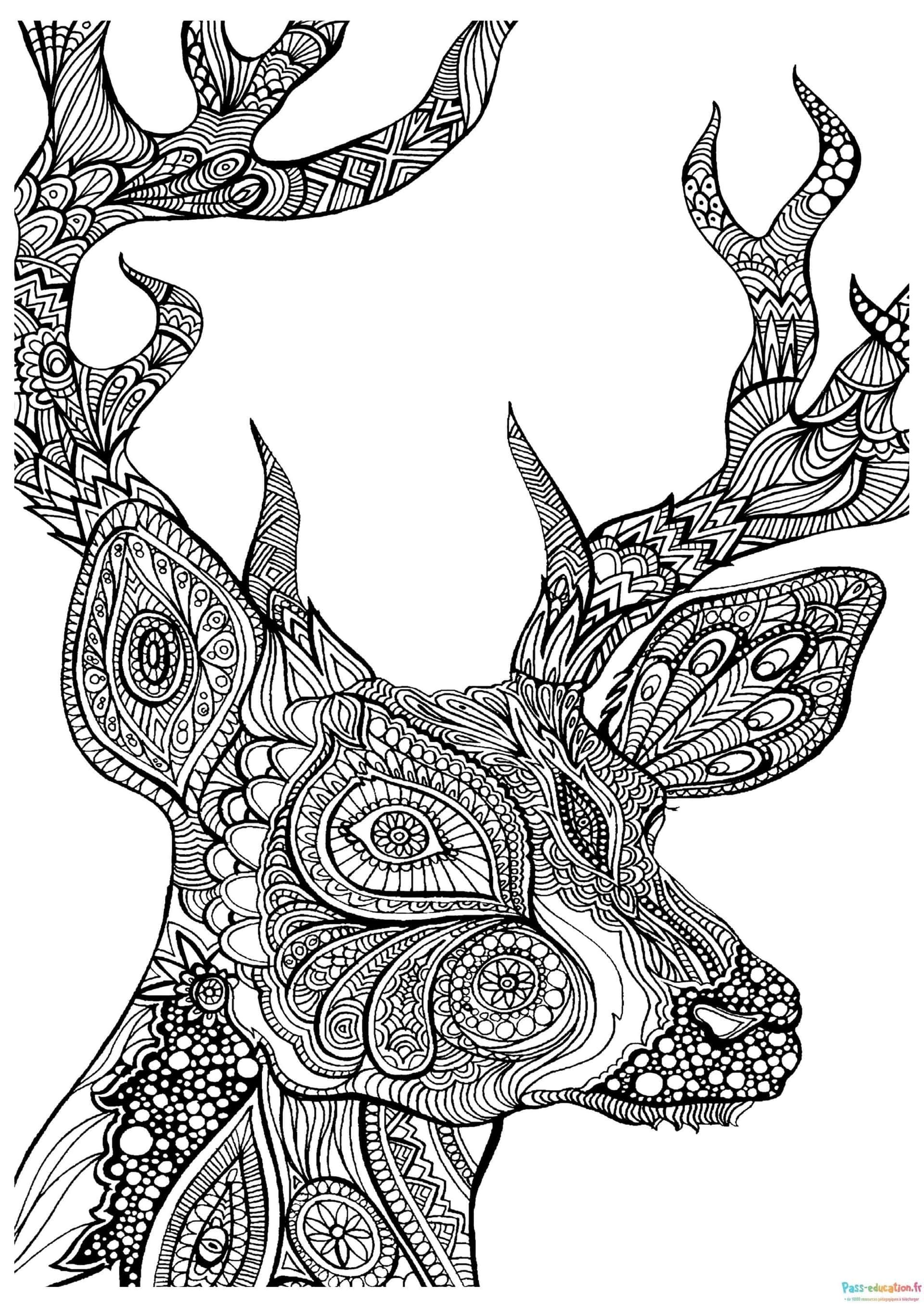 Coloriage Cerf Zentangle à imprimer et colorier