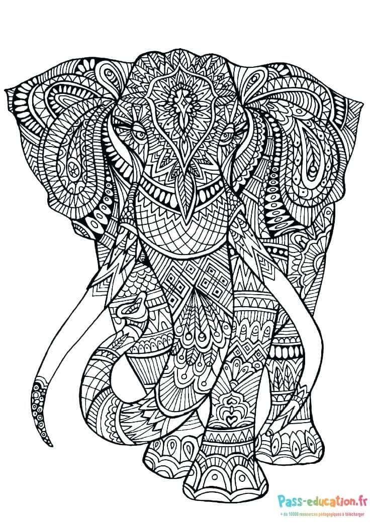 Coloriage Ã‰léphant mandala à imprimer et colorier