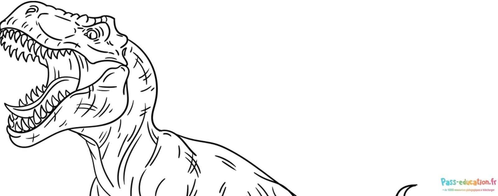Coloriage T-Rex rugissant à imprimer et colorier