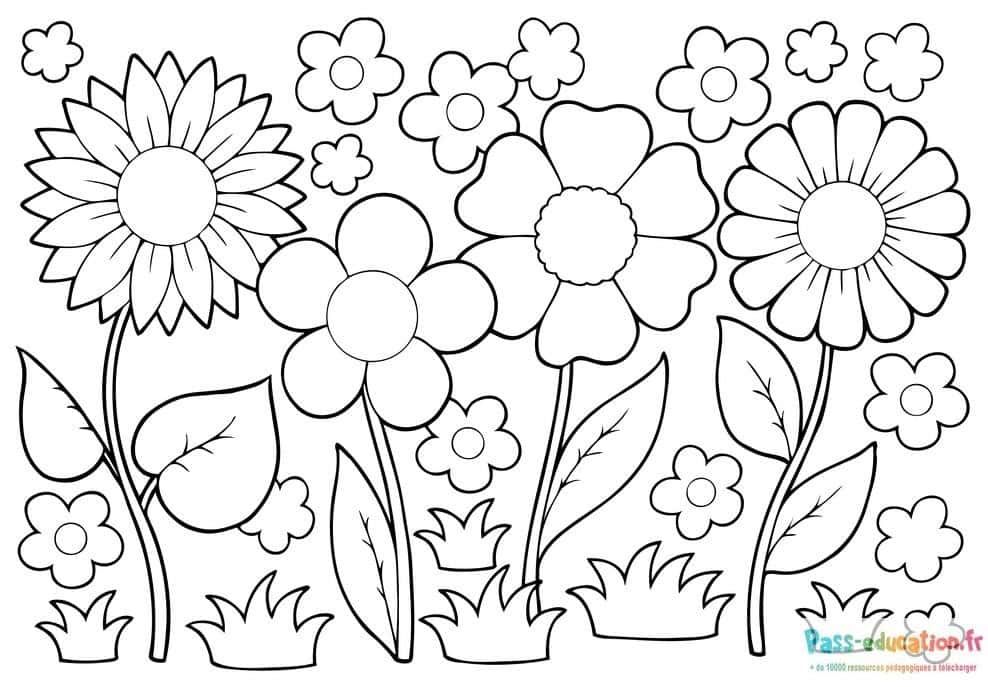 Coloriage Fleurs de printemps à imprimer et colorier