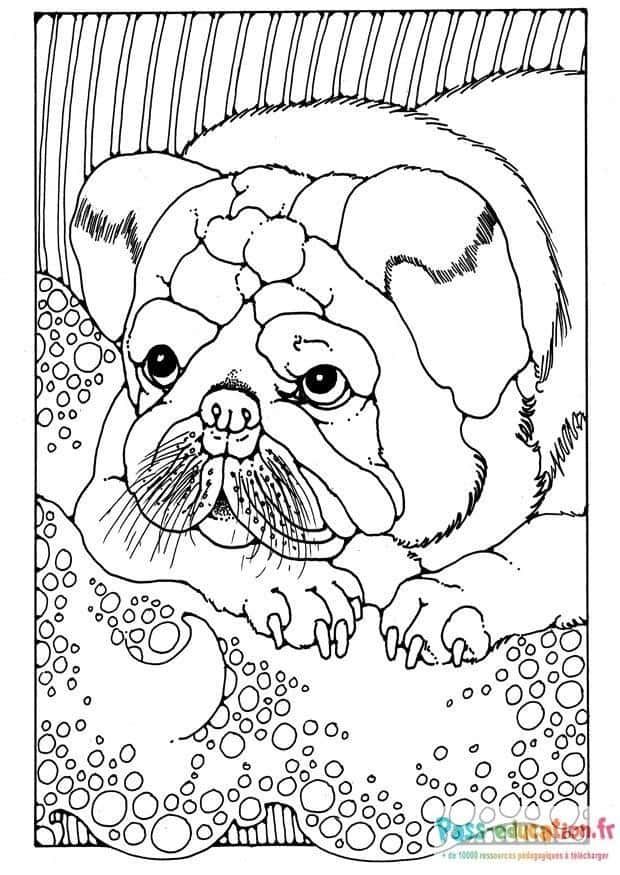 Coloriage Chiot Bulleux à imprimer et colorier