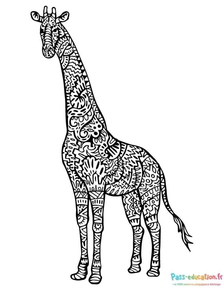 Coloriage Girafe décorée à imprimer et colorier