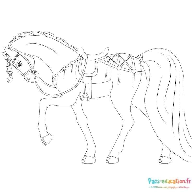 Coloriage Cheval harnaché à imprimer et colorier
