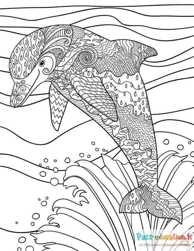 Coloriage Dauphin dans les vagues à imprimer et colorier