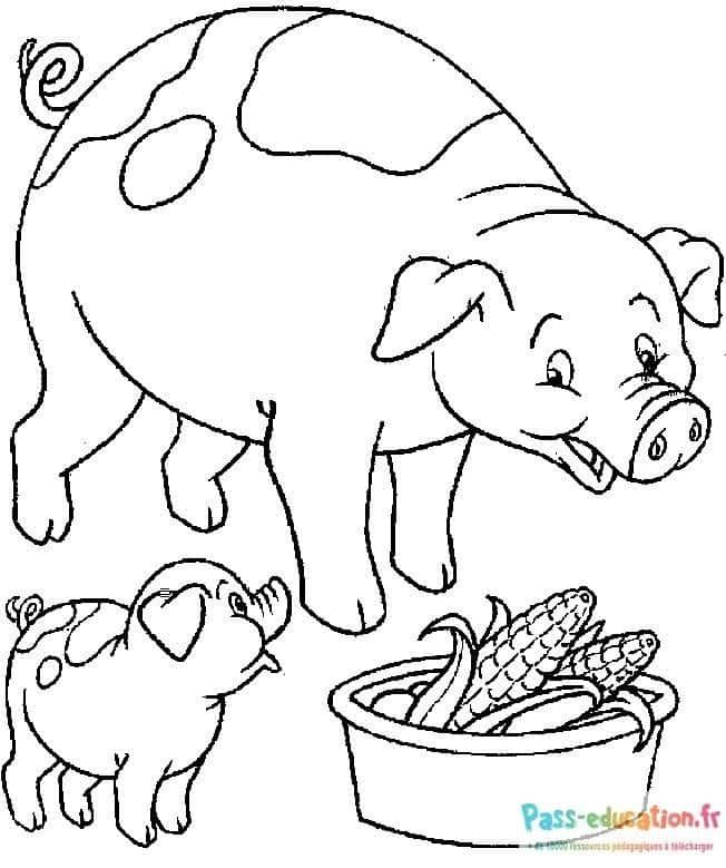 Coloriage Cochons et Maïs à imprimer et colorier