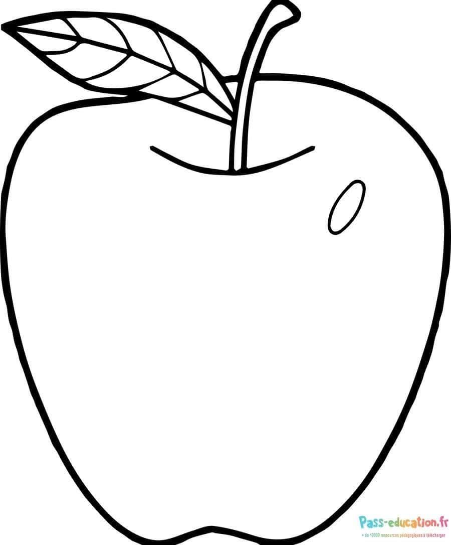 Coloriage Pomme simple à imprimer et colorier