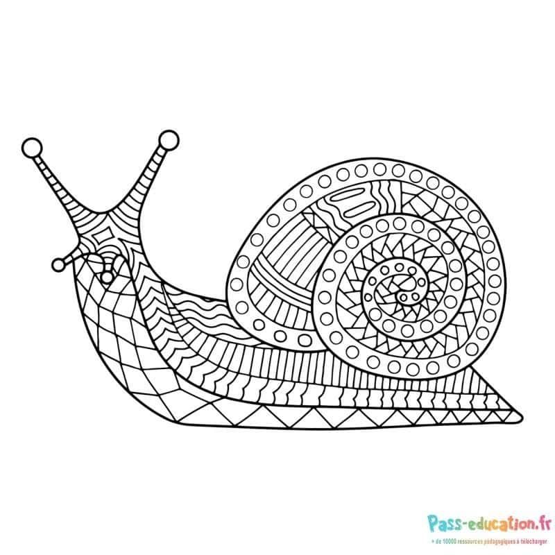 Coloriage Escargot à décorer à imprimer et colorier