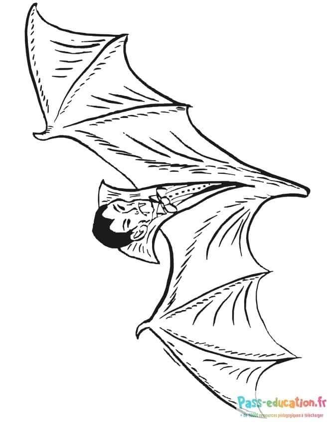 Coloriage Dracula avec des ailes à imprimer et colorier