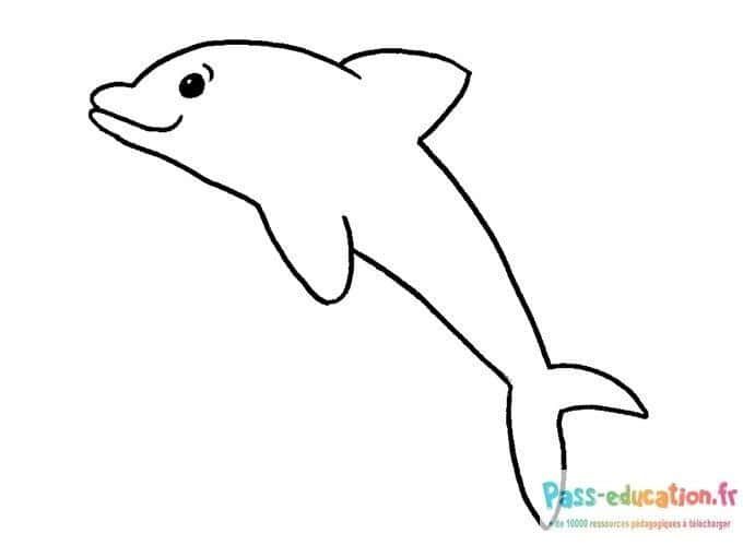 Coloriage Dauphin joyeux à imprimer et colorier