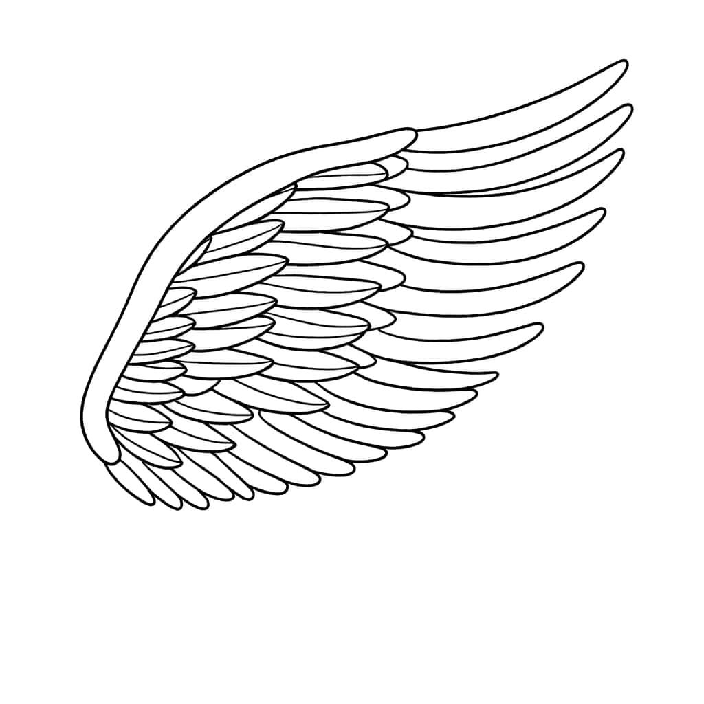 Coloriage Aile d'ange à imprimer et colorier