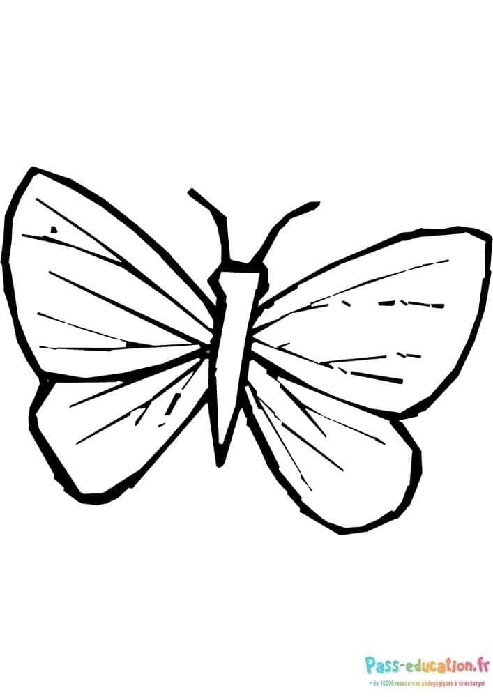 Coloriage Papillon simple à imprimer et colorier