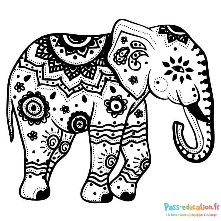 Coloriage Éléphant décoré à imprimer et colorier