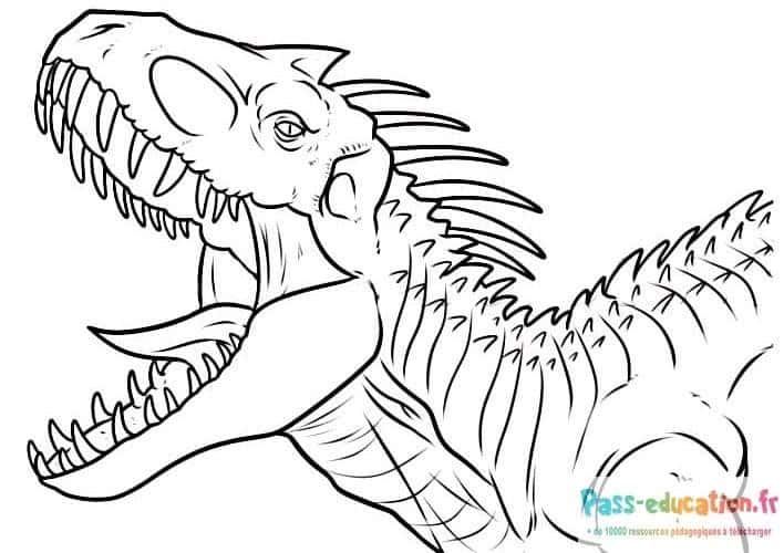 Coloriage Dinosaure féroce à imprimer et colorier