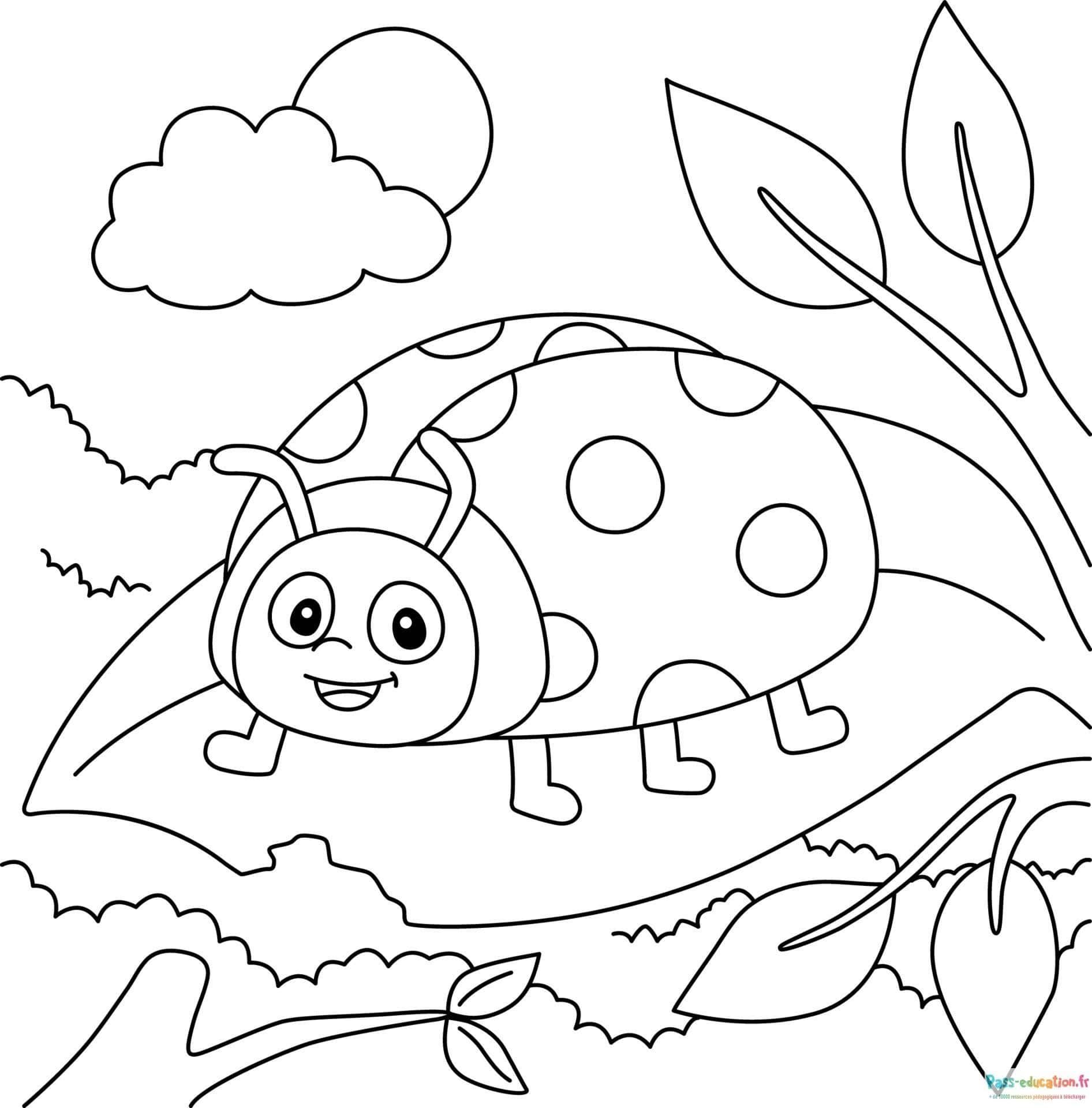 Coloriage Coccinelle dans la nature à imprimer et colorier