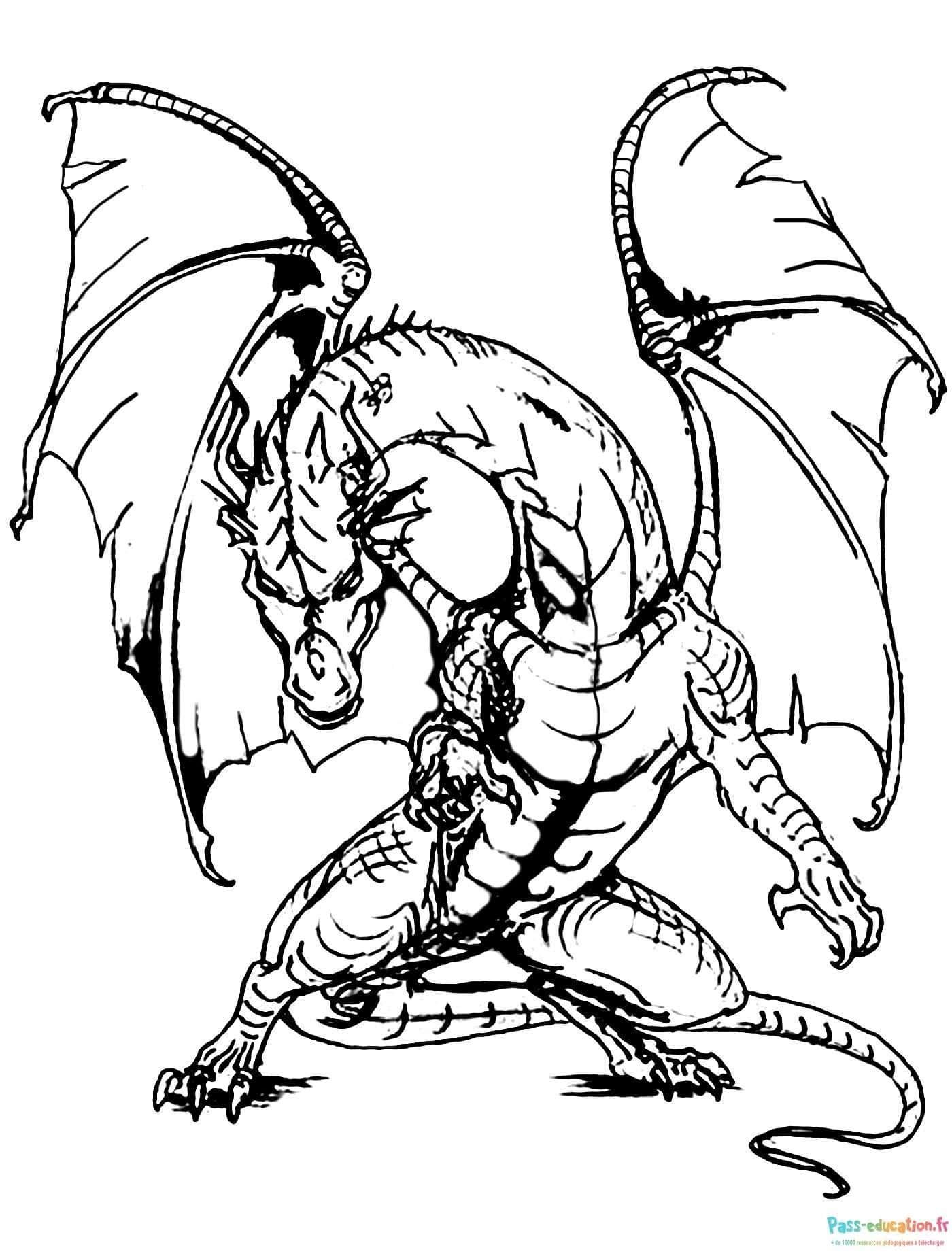 Coloriage Dragon majestueux à imprimer et colorier