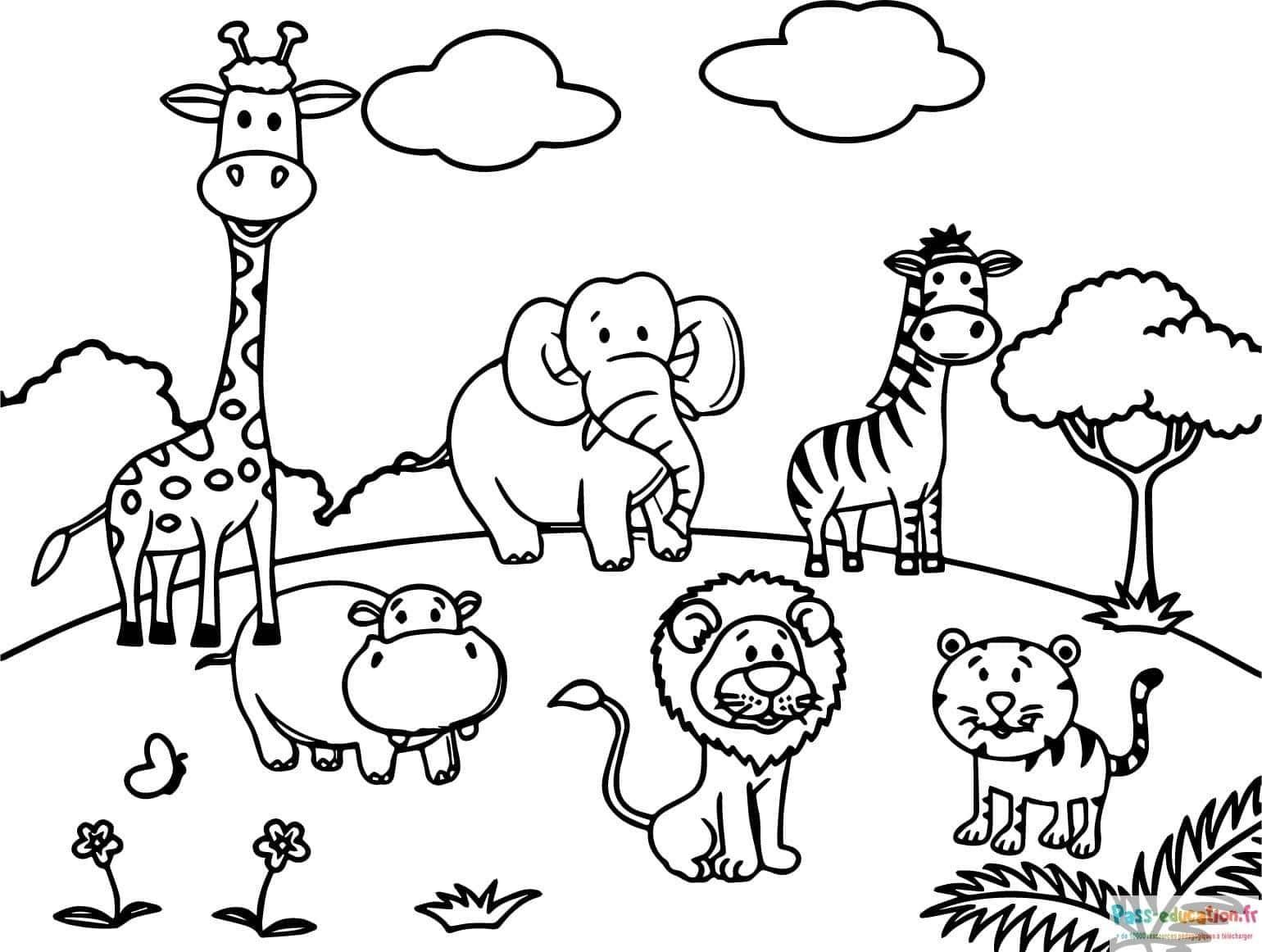 Coloriage Animaux de la jungle à imprimer et colorier