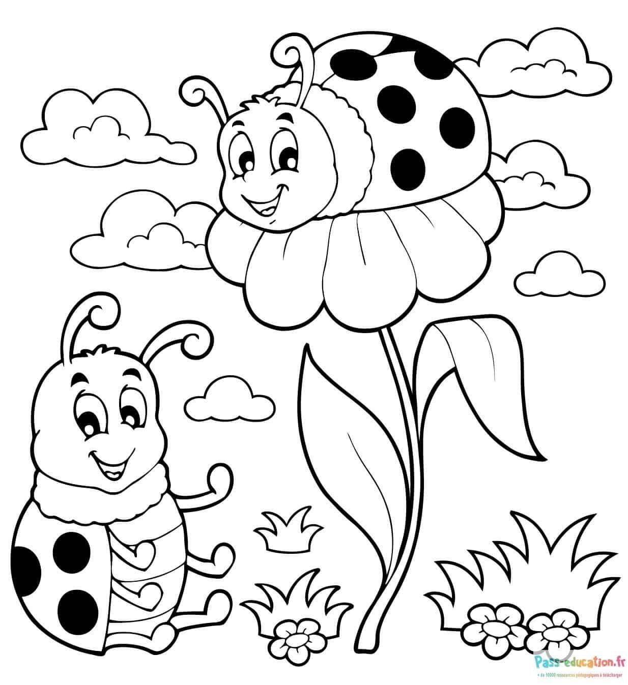 Coloriage Coccinelles amicales à imprimer et colorier
