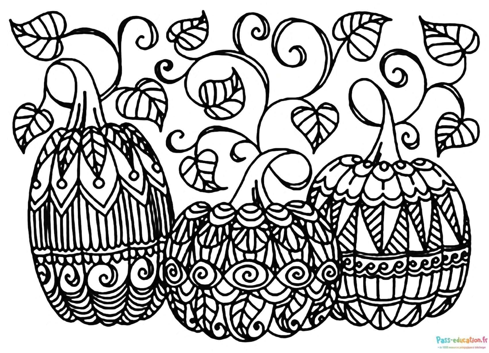 Coloriage Citrouilles décorées à imprimer et colorier